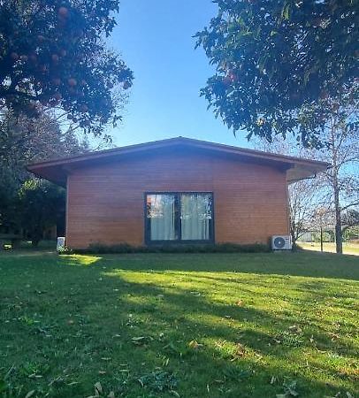 Casa Da Ferreirinha Guest House Faldejaes ภายนอก รูปภาพ
